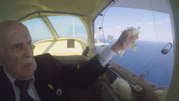 空に舞った花びら1