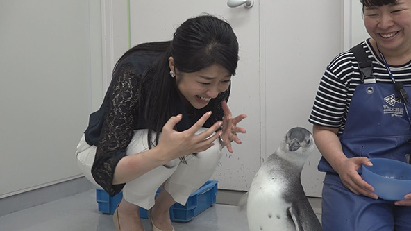 この記事の写真