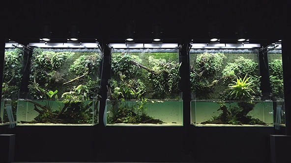 この記事の写真