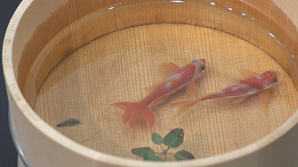 この記事の写真