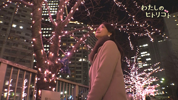 この記事の写真