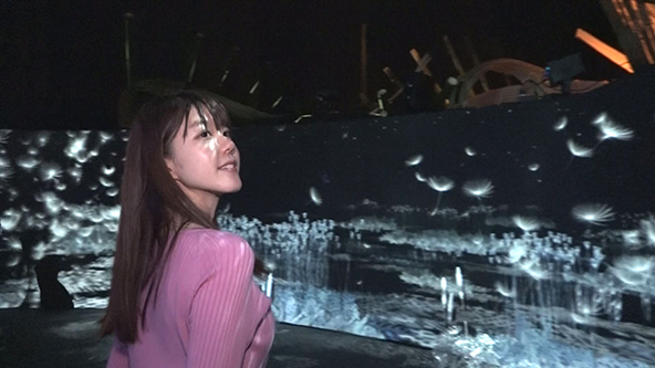 この記事の写真