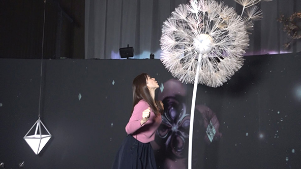 この記事の写真