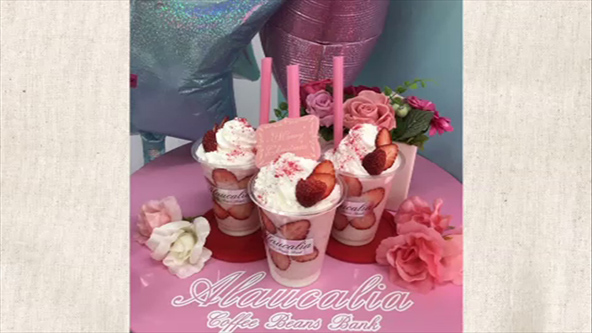 この記事の写真