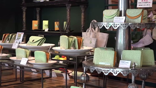 この記事の写真