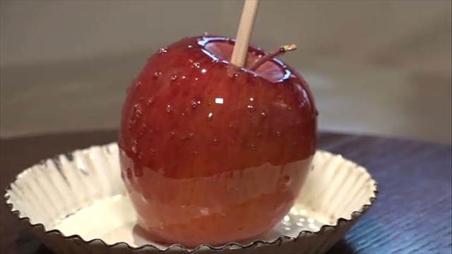 この記事の写真