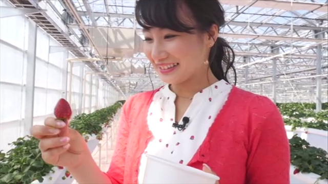 この記事の写真