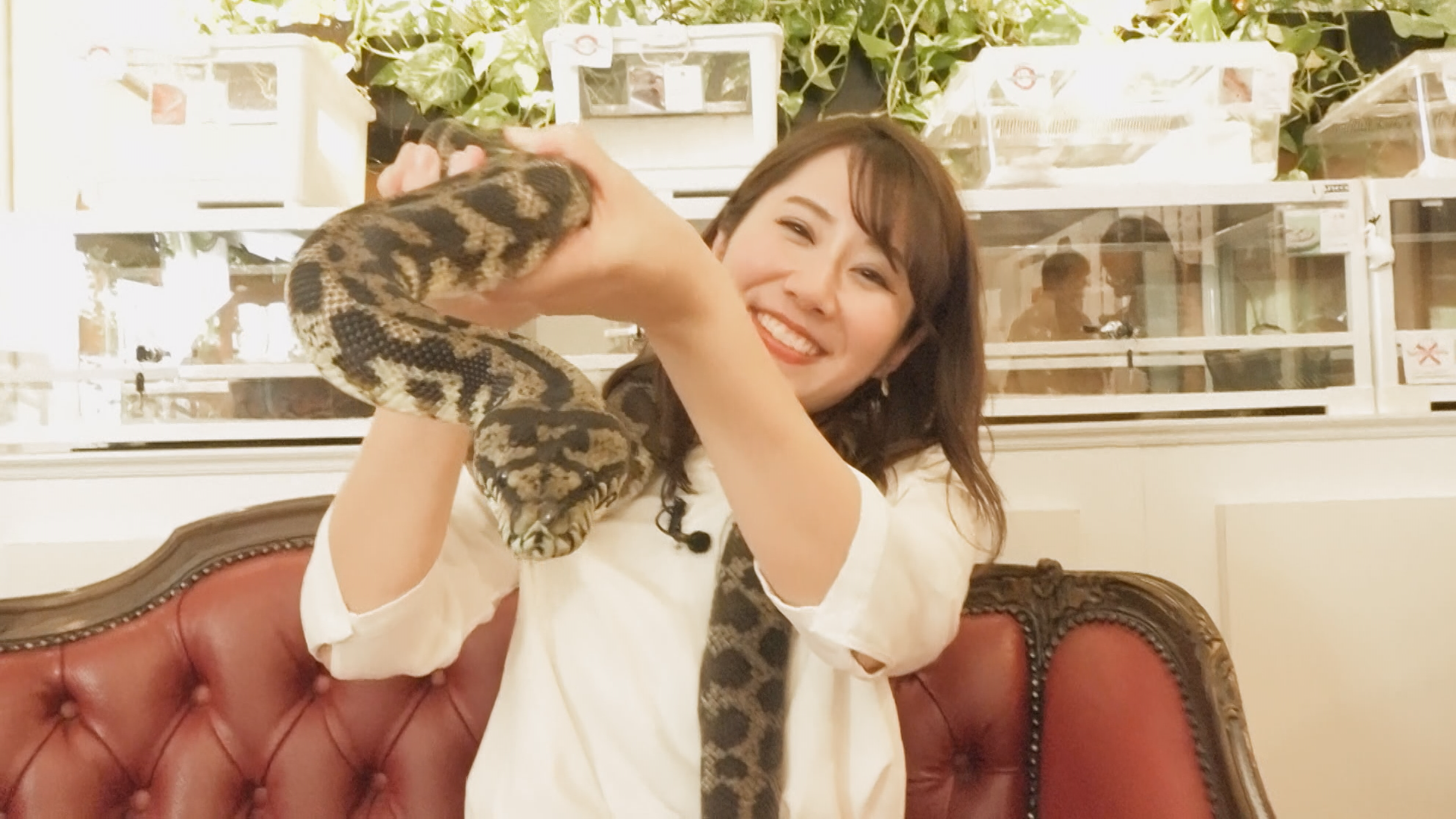 この記事の写真