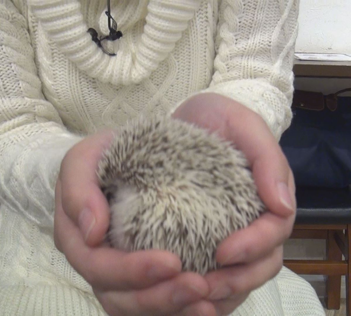 「平川キャスターのヒトリゴト」の画像1