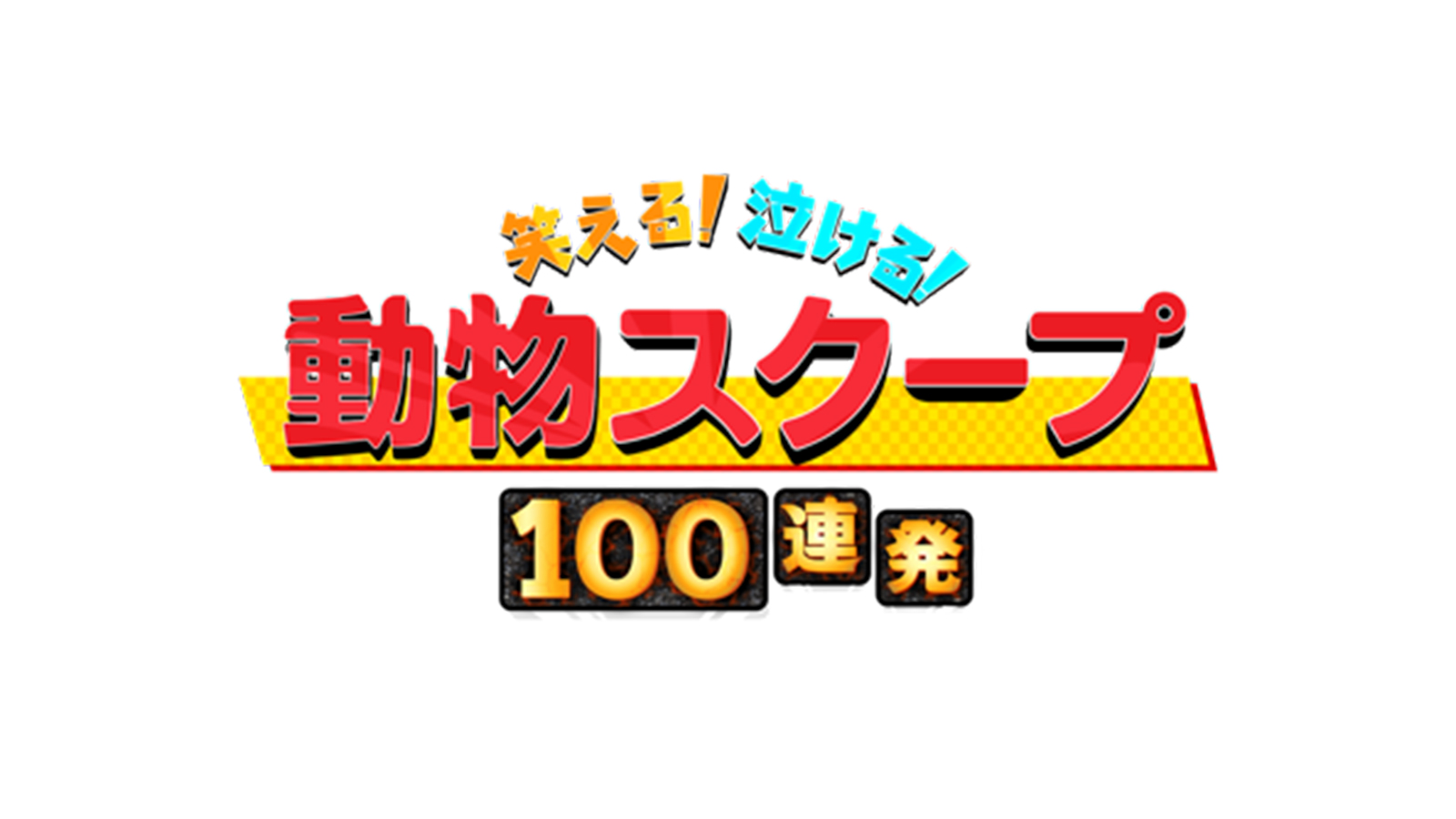 募集｜TBSテレビ：笑える！泣ける！動物スクープ100連発