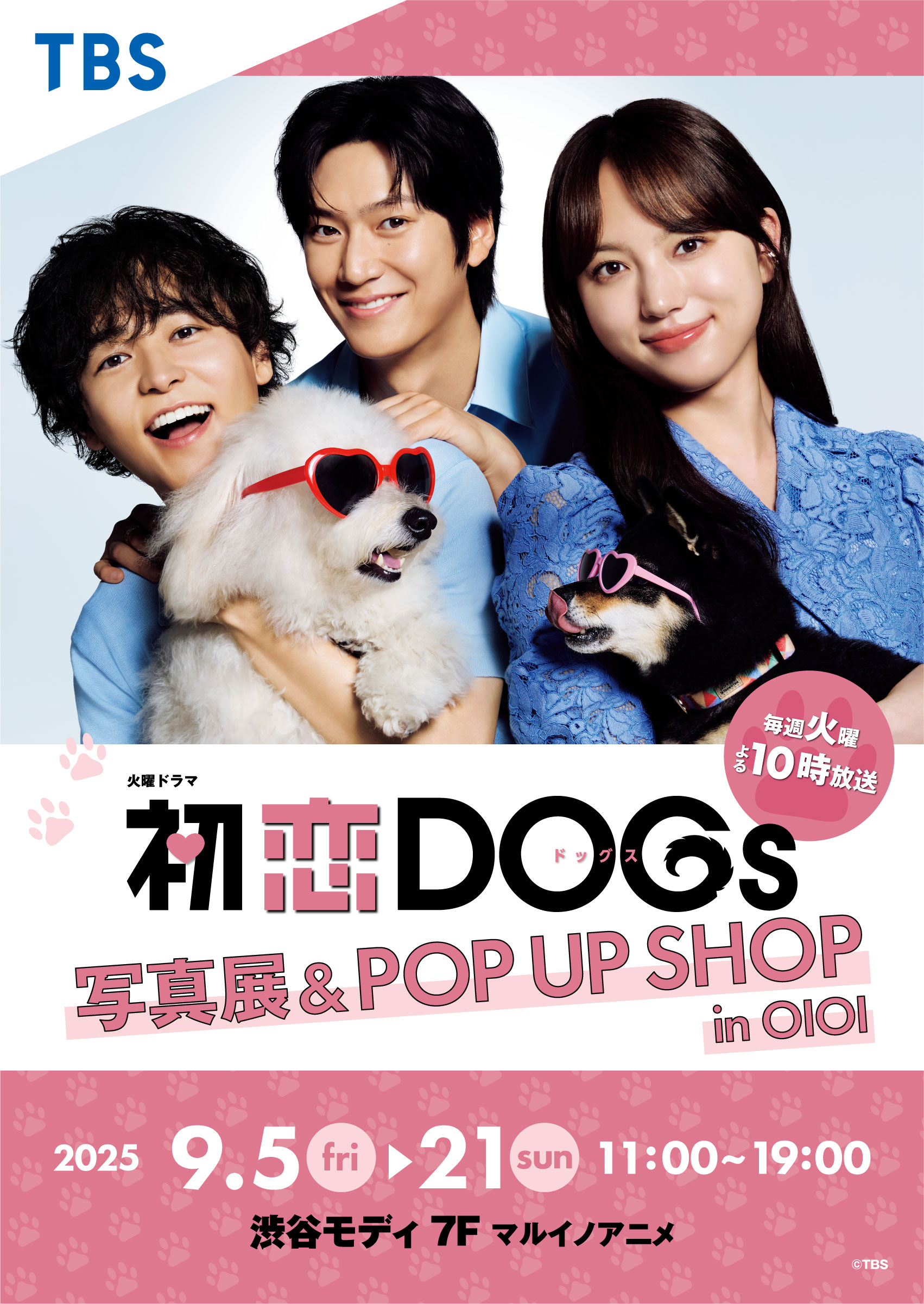 お知らせ｜TBSテレビ 火曜ドラマ『初恋DOGs』