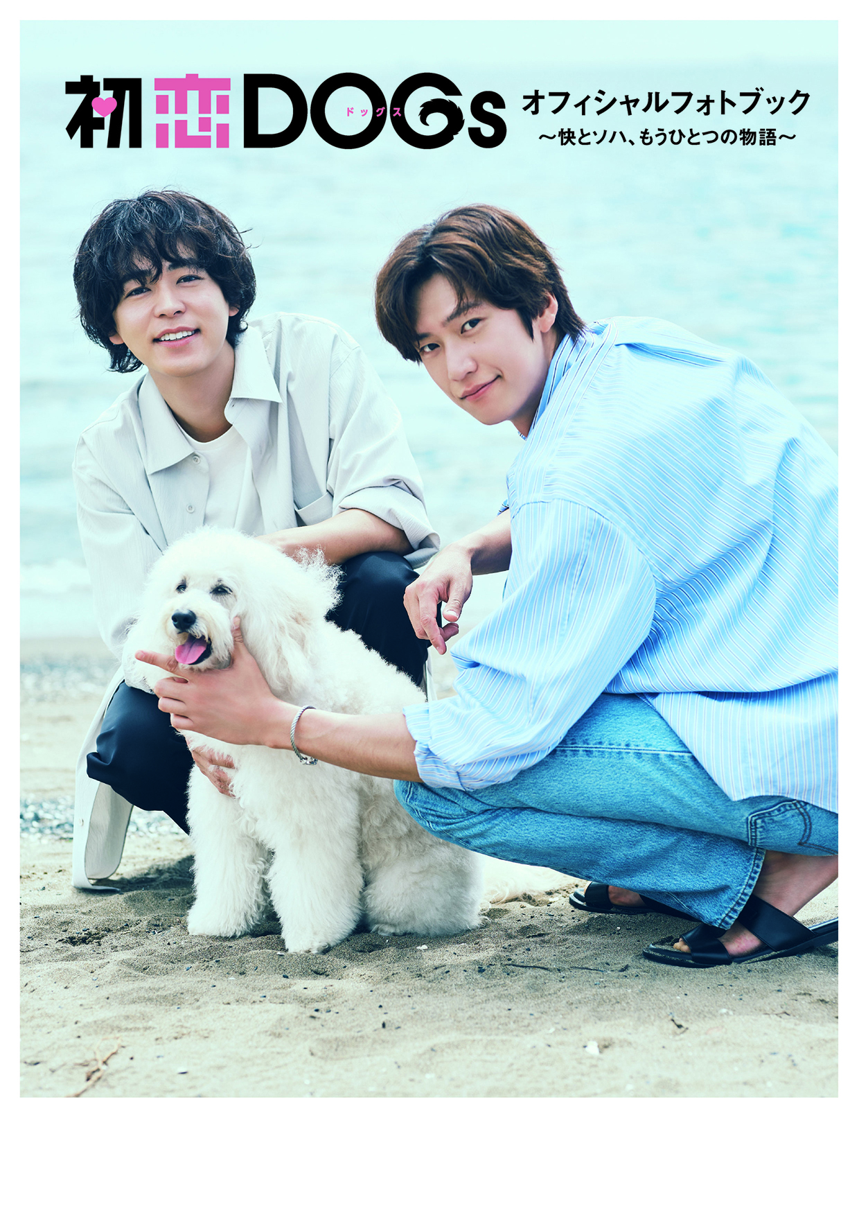 「ドラマ 初恋dogs 萩原利久 直筆サイン色紙」清原果耶 成田凌 グッズ 国宝 ドラマ 初恋dogs 萩原利久 直筆サイン色紙」清原果耶 成田凌