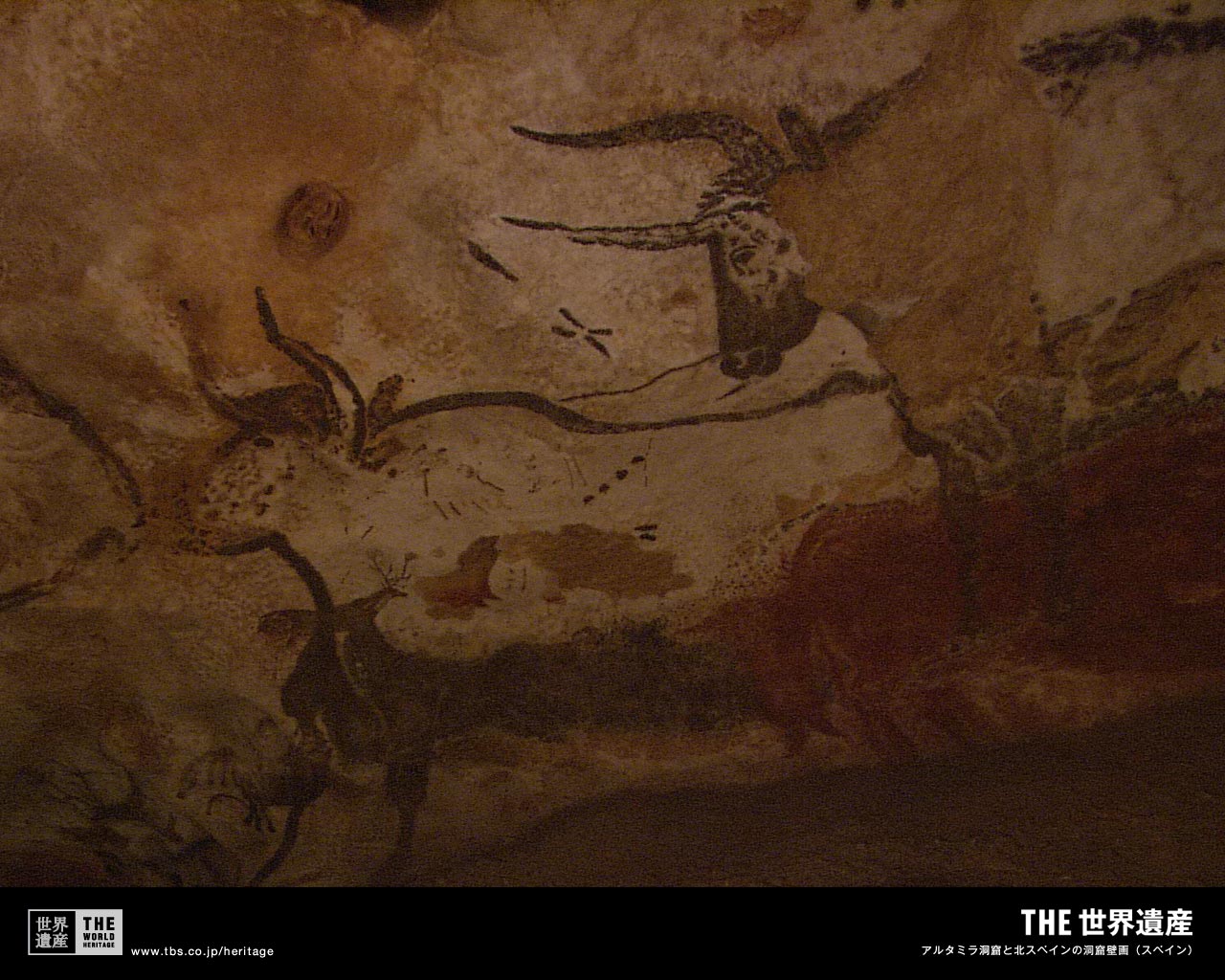 特集 アルタミラ洞窟と北スペインの洞窟壁画 闇に浮かぶ神秘の絵 Tbsテレビ The世界遺産