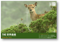 card05