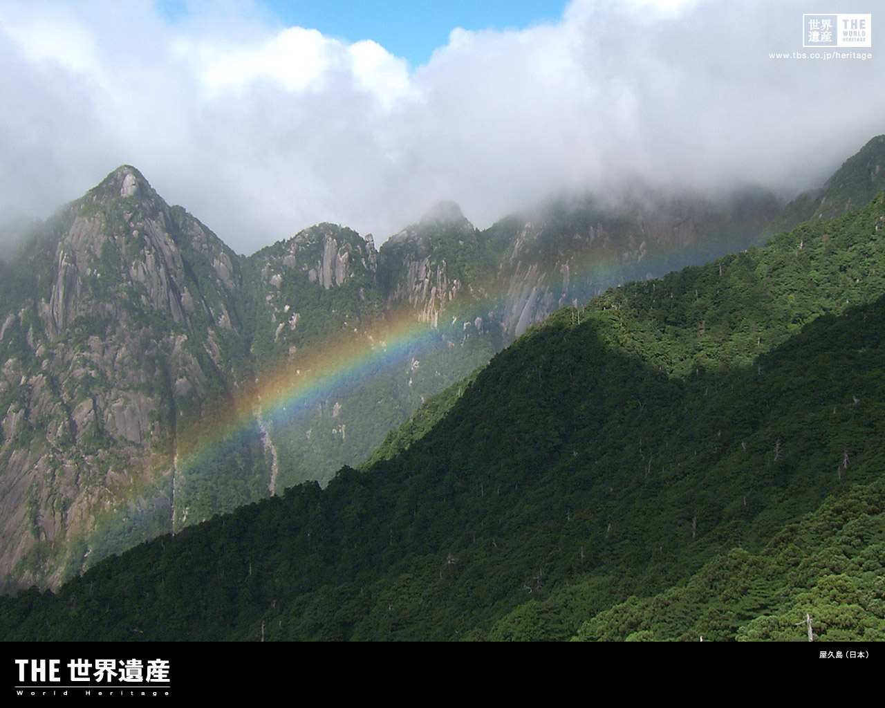 特集 屋久島 ｉ Ii Tbsテレビ The世界遺産