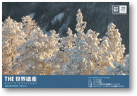 card06