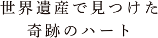 世界遺産の奇妙な生き物