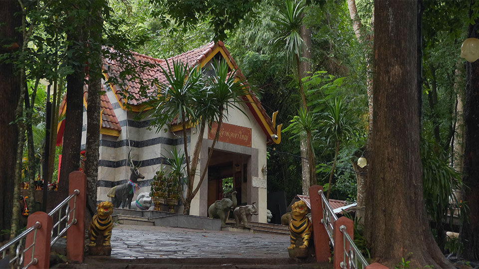 「ドンパヤーイェンカオヤイ森林群 〜 落差150mの3段滝 野生動物の森」ギャラリー｜TBSテレビ：世界遺産