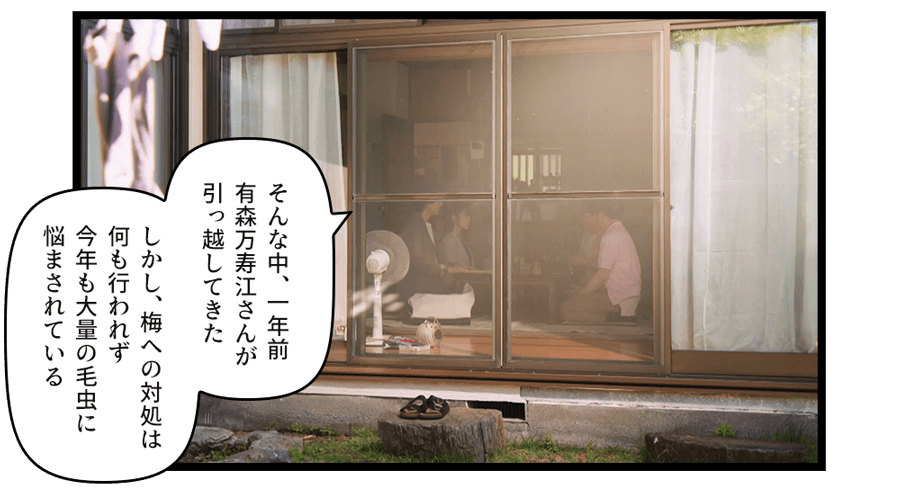 そんな中、一年前有森万寿江さんが引っ越してきた　しかし、梅への対処は何も行われず今年も大量の毛虫に悩まされている