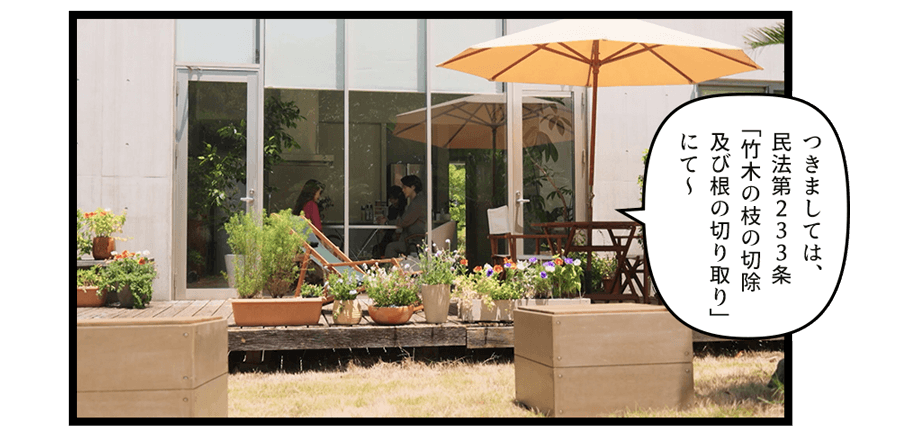 「つきましては、民法第２３３条「竹木の枝の切除及び根の切り取り」にて〜」