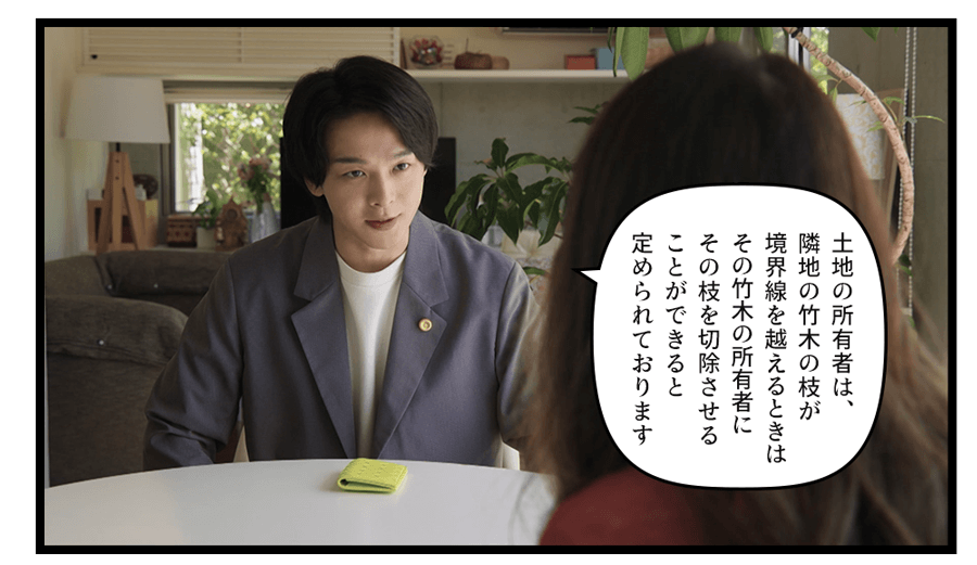 「土地の所有者は、隣地の竹木の枝が境界線を越えるときはその竹木の所有者にその枝を切除させることができると定められております。また、民法第７１７…」