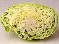 キュウズマートのキャベツ