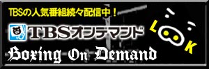 TBS『WBA世界フライ級タイトルマッチ 亀田大毅 vs 坂田健史』