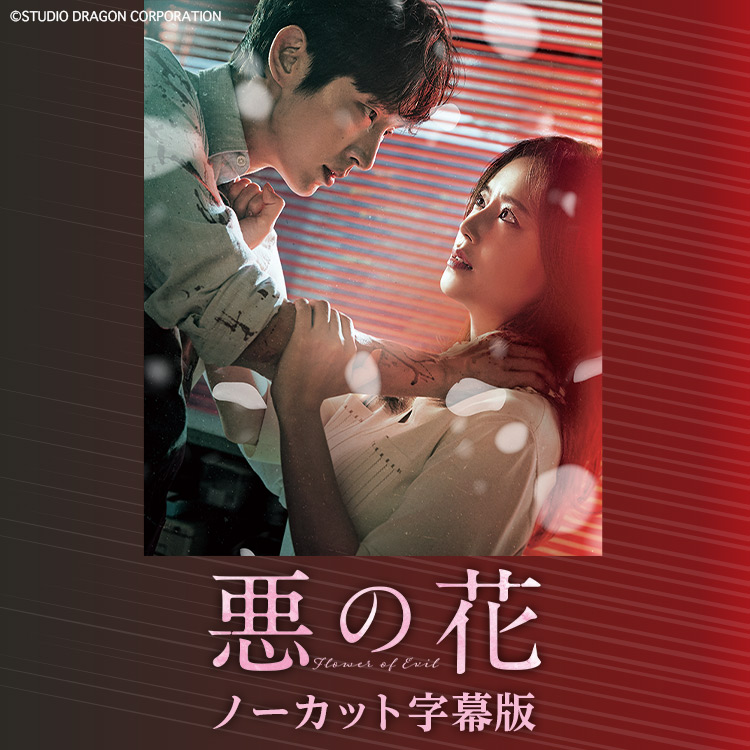 オススメ 韓流 Tbsチャンネル Tbs