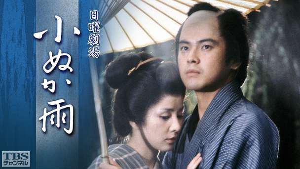 徳川家康　TBS 時代劇　松方弘樹　DVD 2枚セット Amazon.co.jp: DVD／TBS大型時代劇シリーズ 徳川家康出演：松方