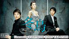 韓国ドラマ「冬鳥」