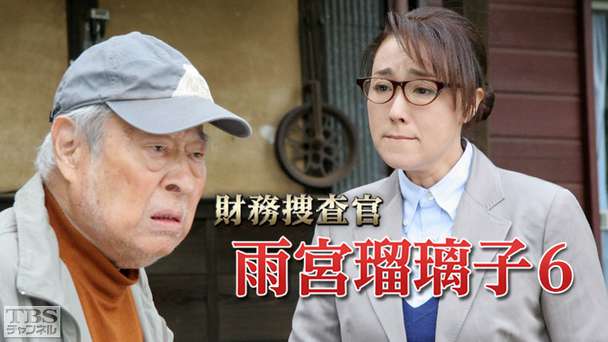 財務捜査官 雨宮瑠璃子6