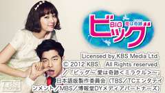 韓国ドラマ「ビッグ〜愛は奇跡<ミラクル>〜」ノーカット字幕版