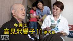 弁護士高見沢響子11 夢の花