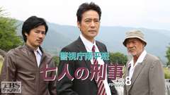 警視庁南平班〜七人の刑事〜8
