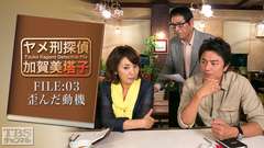 ヤメ刑探偵 加賀美塔子 FILE:03 歪んだ動機