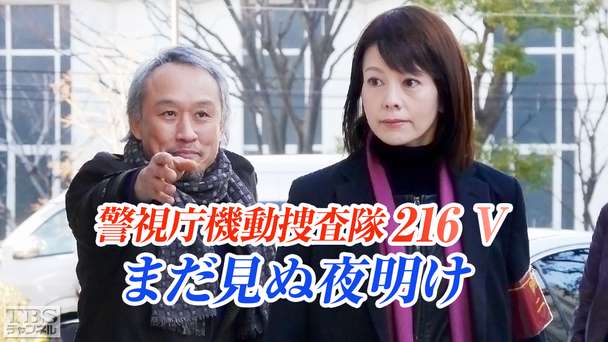 警視庁機動捜査隊216V まだ見ぬ夜明け
