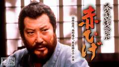 大型時代劇スペシャル「赤ひげ」(田原俊彦、南野陽子、萬屋錦之介出演)