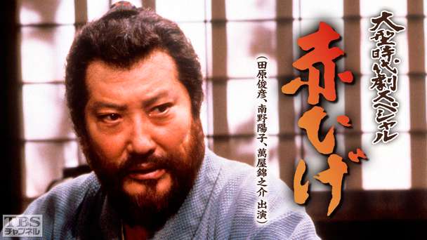 大型時代劇スペシャル「赤ひげ」(田原俊彦、南野陽子、萬屋錦之介出演)