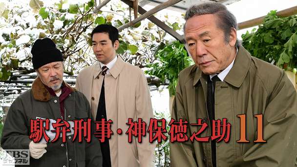 駅弁刑事・神保徳之助11