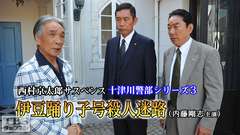西村京太郎サスペンス 十津川警部シリーズ3「伊豆踊り子号殺人迷路」(内藤剛志主演)