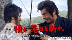 映画「狼よ落日を斬れ 風雲篇/激情篇/怒濤篇」