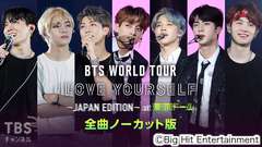 BTS WORLD TOUR 'LOVE YOURSELF' 〜JAPAN EDITION〜 at 東京ドーム 全曲ノーカット版