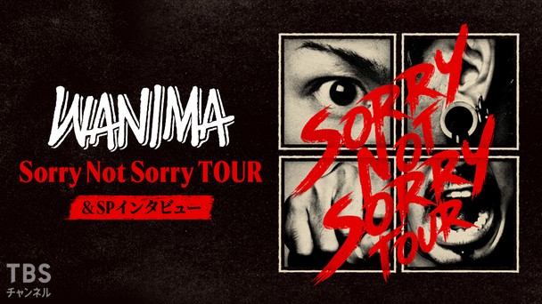 WANIMA Sorry Not Sorry TOUR＆SPインタビュー｜音楽｜TBS