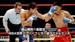 ボクシング WBA世界スーパーフェザー級タイトルマッチ 崔龍洙×畑山隆則(1998年9月)