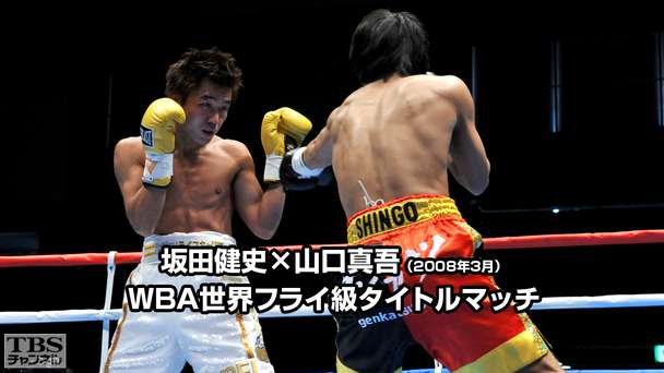 ボクシング WBA世界フライ級王座統一戦 坂田健史×ロベルト・バスケス（2007年7月）｜スポーツ｜TBSチャンネル - TBS