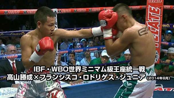 再値下げ　今井ロジン　花　二科会審査員 再値下げ 今井ロジン 花 二科会審査員 - メルカリ