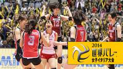 2014世界バレー女子 イタリア大会