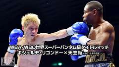 ボクシング WBA・WBO世界スーパーバンタム級タイトルマッチ ギジェルモ・リゴンドー×天笠尚(2014年12月)