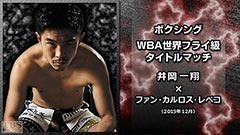ボクシング WBA世界フライ級タイトルマッチ 井岡一翔×ファン・カルロス・レベコ 完全版(2015年12月)
