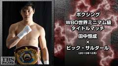 ボクシング WBO世界ミニマム級タイトルマッチ 田中恒成×ビック・サルダール(2015年12月)